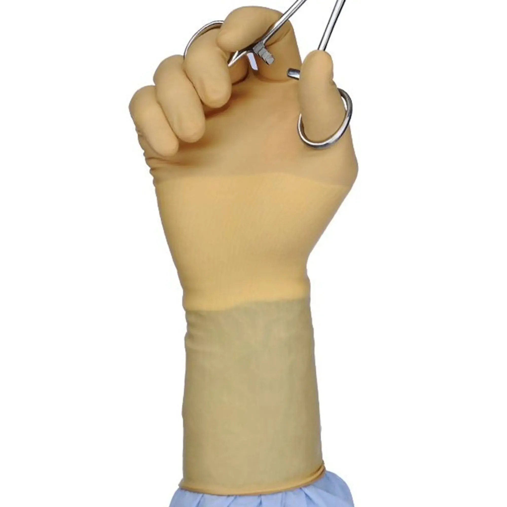 Protexis™ Polychloroprene Surgical Glove, Size 7, Ivory